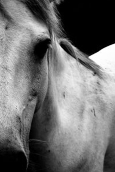 Experiential Learning